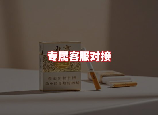 专业团队
